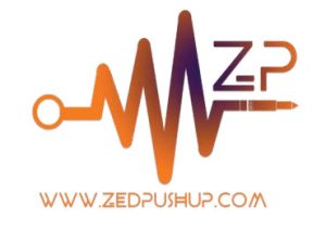 Zed Pushup